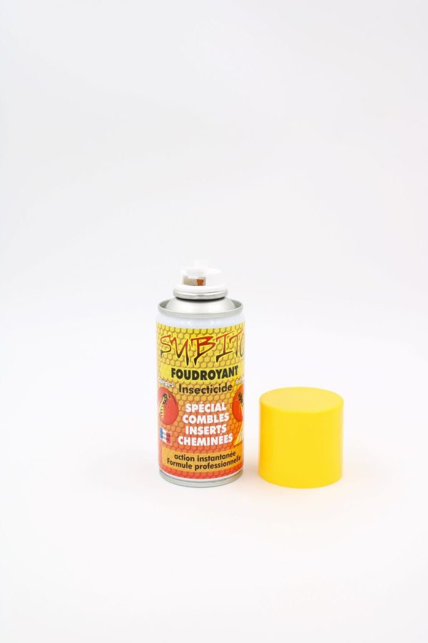 Foudroyant insecticides guêpes frelons spe combles inserts cheminées
